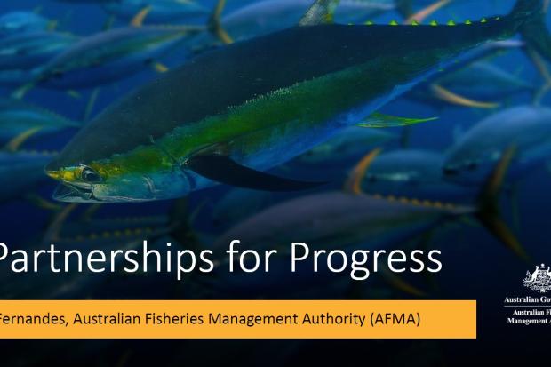 AFMA Partnerships for Progress Presentation