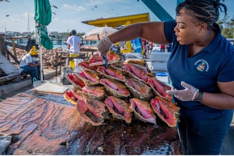 Bahamas fisheries at market